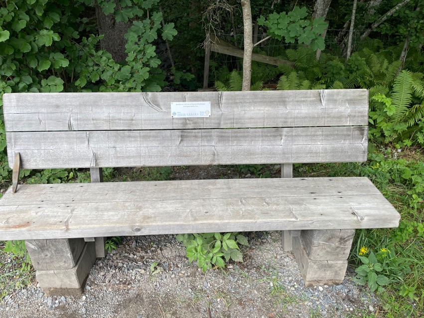 Benker i nærmiljøet